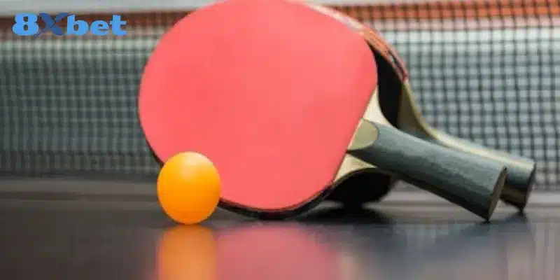 Chia sẻ mẹo đặt cược bóng bàn chuẩn xác