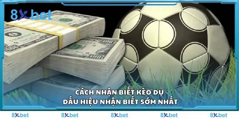 Cách nhận biết kèo dụ – Dấu hiệu nhận biết sớm nhất