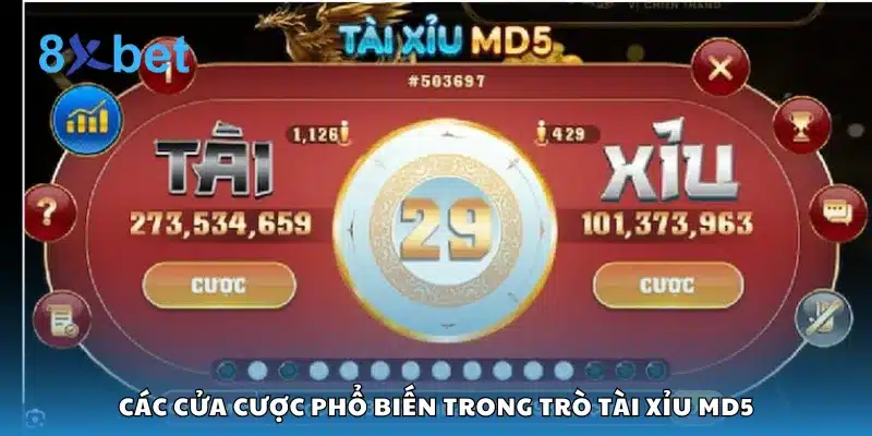 Các cửa cược phổ biến trong trò tài xỉu MD5