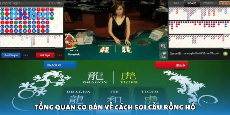 Tổng quan cơ bản về cách soi cầu Rồng Hổ