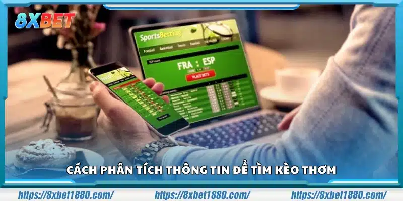Cách đánh giá thông tin trận đấu nhằm chọn kèo chuẩn