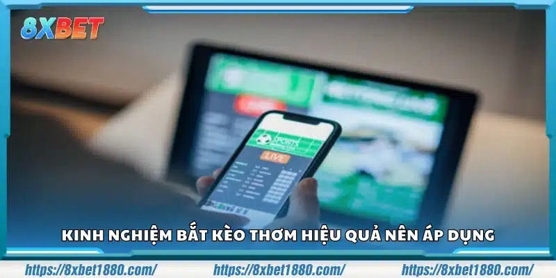 Kinh nghiệm bắt kèo thơm hiệu quả từ người chơi lão luyện